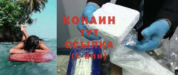 гидра Новозыбков