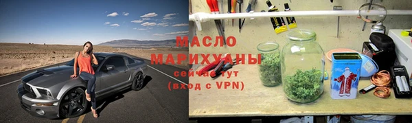 шишки Няндома
