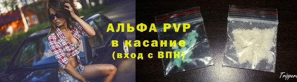 твердый Новокубанск