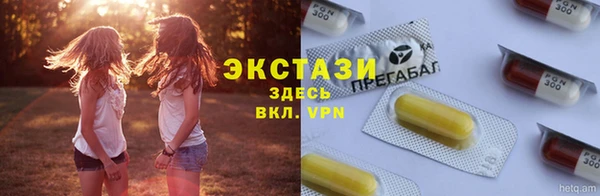шишки Няндома