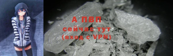 шишки Няндома