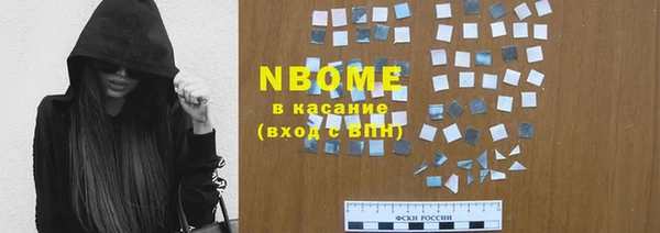 шишки Няндома