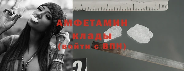 гидра Новозыбков