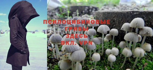 трава Новодвинск