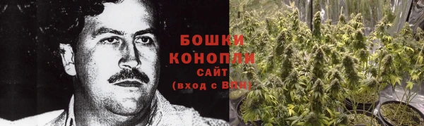 шишки Няндома