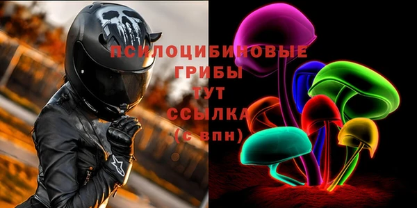 трава Новодвинск