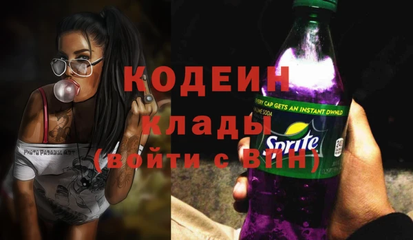 шишки Няндома