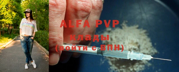 гидра Новозыбков