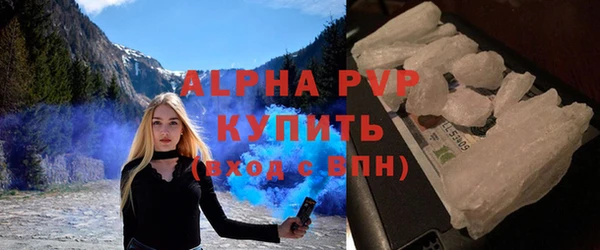 шишки Няндома