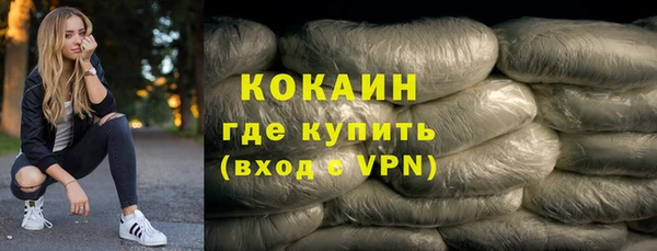шишки Няндома