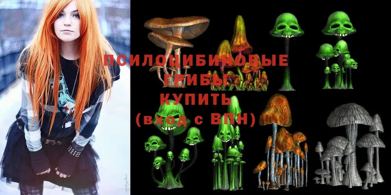 Псилоцибиновые грибы Cubensis  где продают наркотики  Игарка 